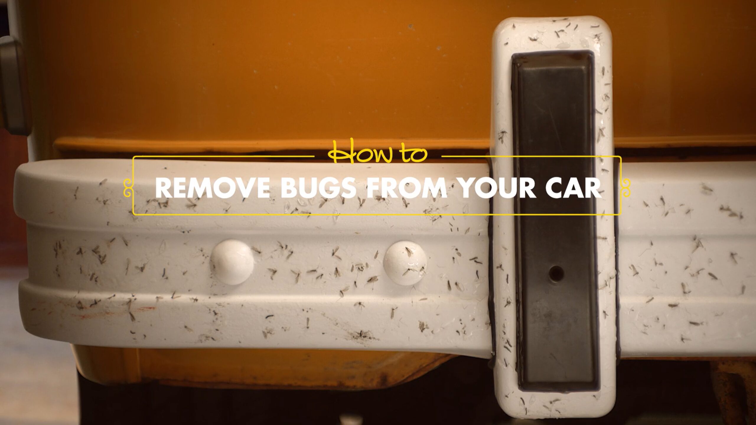 Goof Off: How To Remove Bugs From Your Car video thumbnail